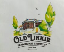 Skip Road Trekking In Ladakh